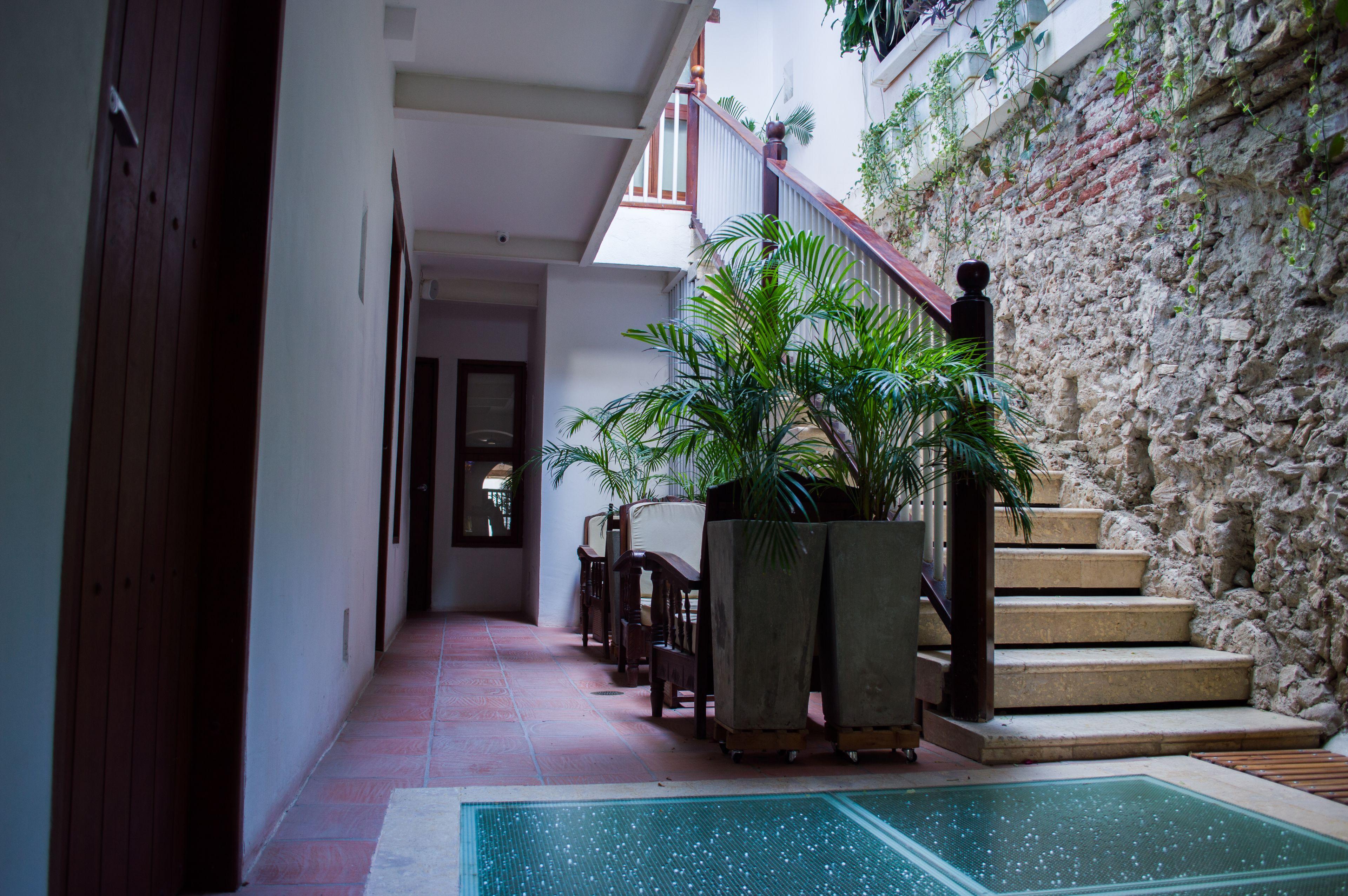 Casa Ebano 967