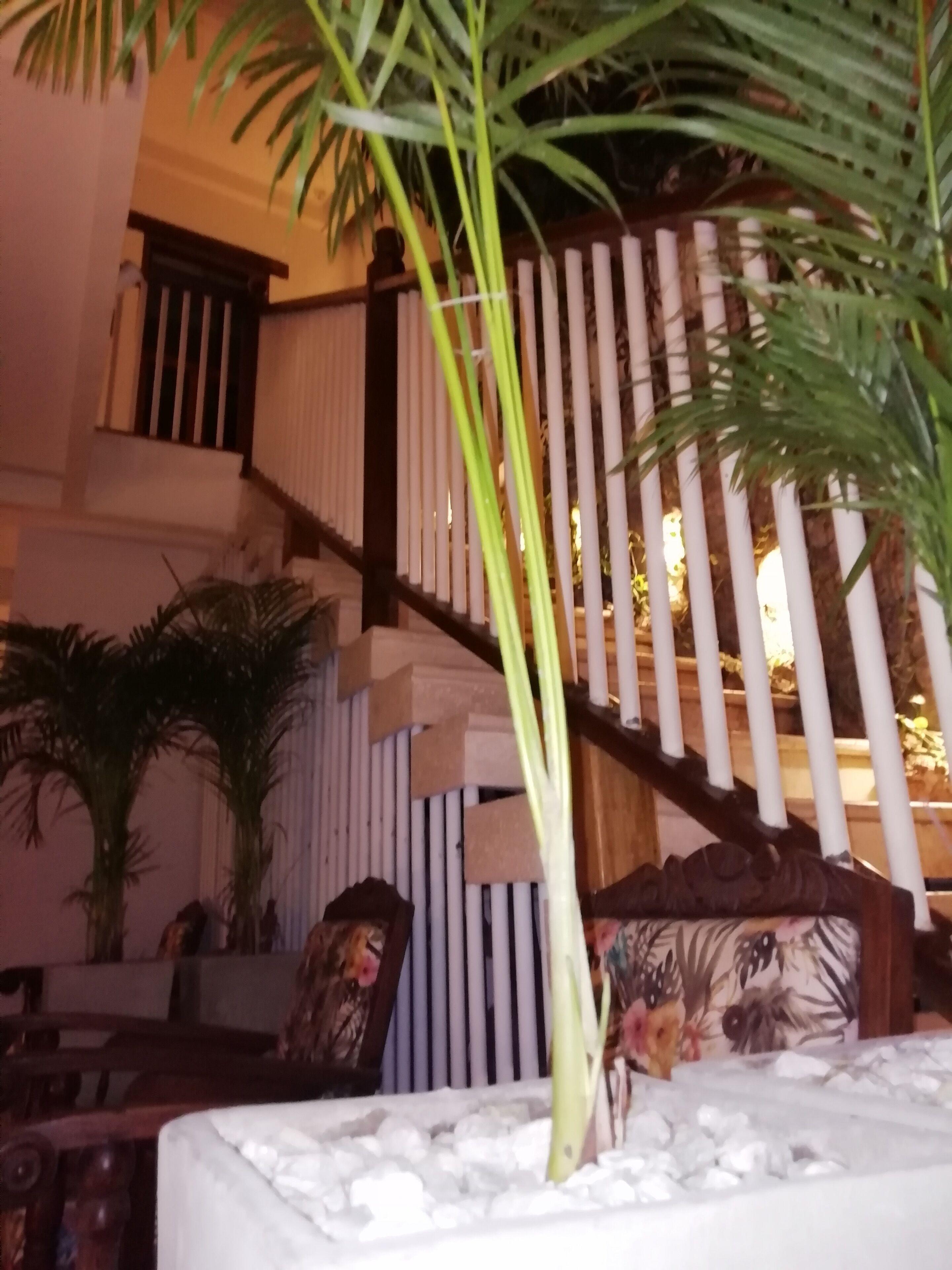 Casa Ebano 967 Cartagena