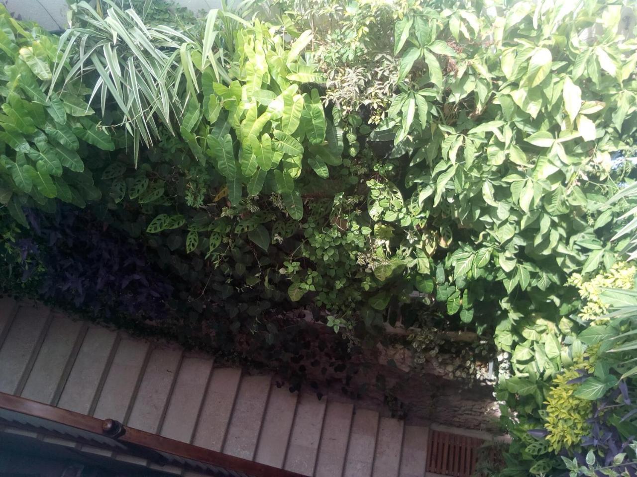 Hotel Casa Ebano 967 3*